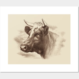 Cow Head Vintage Illustration Posters and Art